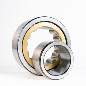 Single Row Cylindrical Roller Bearing OD:320mm